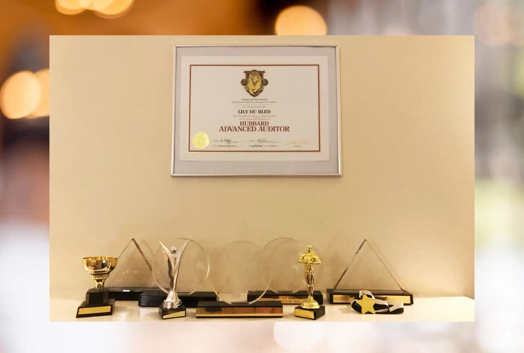 Class IV Auditor & Awards